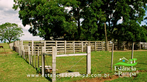 INICIO INICIO.00_03_06_28.Quadro031_cd4b9efc5a0a1aaae314f96f946e1d0dbc945358.jpg